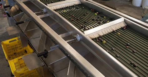 Screw Conveyor Azerbaijan|Conveyor System: Streamlining Processes in Azerbaijani.